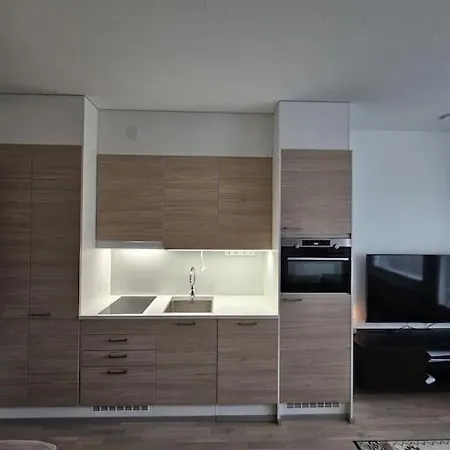 Modern Nearby Airport Apartment